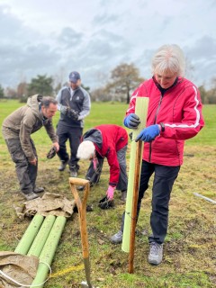 Harrogate Golf Club members joined Head Greenkeeper Ken Ward (left) in planting the trees