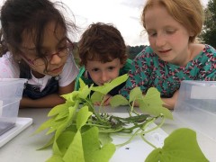 Through golf courses, students are introduced to wildlife and ecology